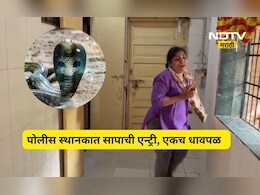 Kalyan News: बाप रे बाप!, ACP ऑफिसमध्ये 5 फुटाचा साप, महिला पोलिसांचा थरकाप