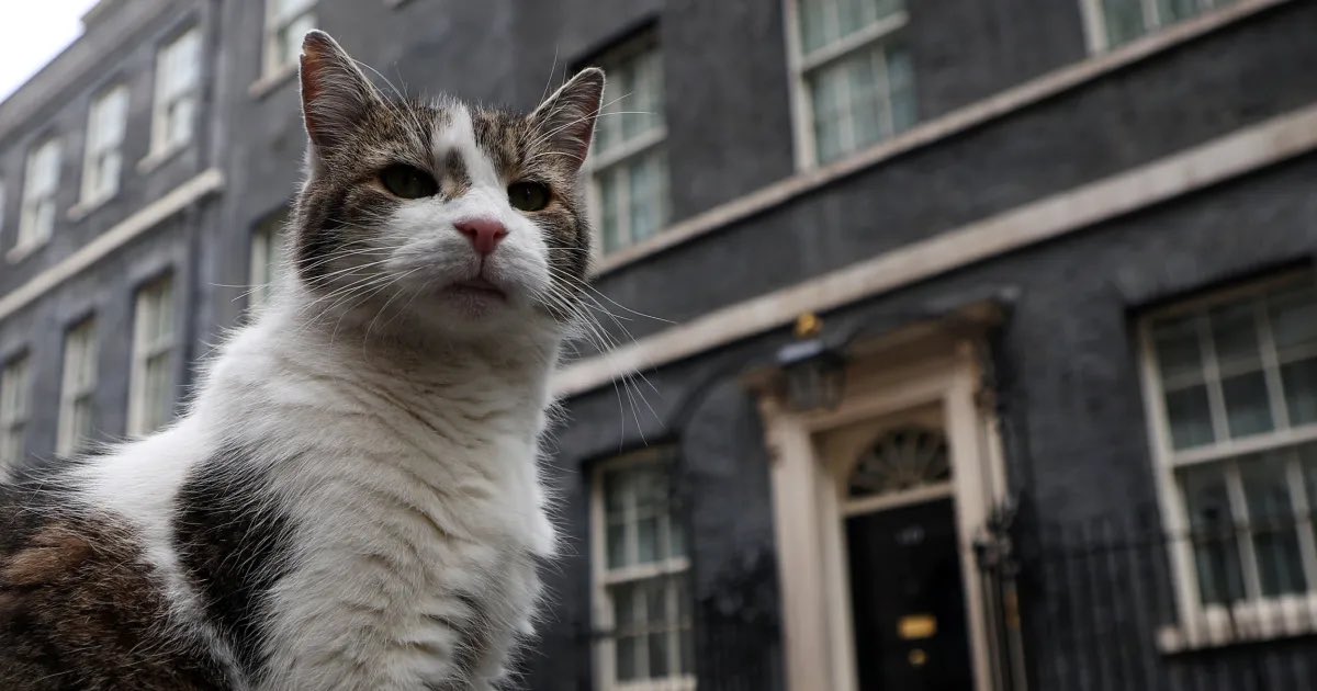 Larry was recruited by Prime Minister David Cameron in 2011 to deal with a mouse problem