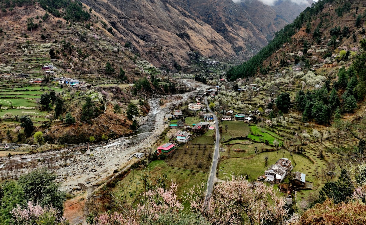 Latest and Breaking News on NDTV