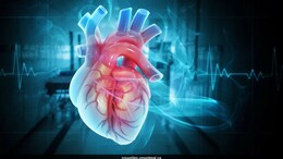 Ischaemic Heart Disease Is The Leading Cause Of Death Among Women In India: Doctor Explains Risk Factors