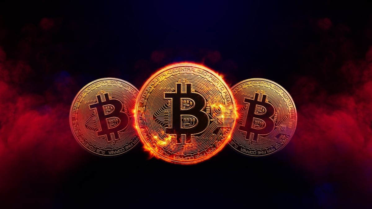 सोना-चांदी ही नहीं, बिटक्वाइन भी धड़ाम, ट्रंप की जीत के बाद का सारा मुनाफा स्वाहा! $61 हजार के नीचे लुढ़की