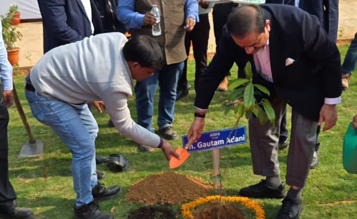 The Art of Baking: From Classic Bread to Artisan Pastries