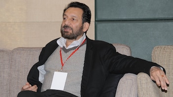 'Career Finished': Mr India Director Shekhar Kapur Predicts Massive Industry Disruption From AI