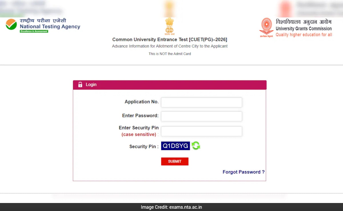 The Art of Baking: From Classic Bread to Artisan Pastries