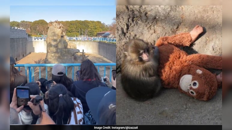 छोटे से दिल की बड़ी दास्तान...पंच ने सिखाया मोहब्बत क्या होती है