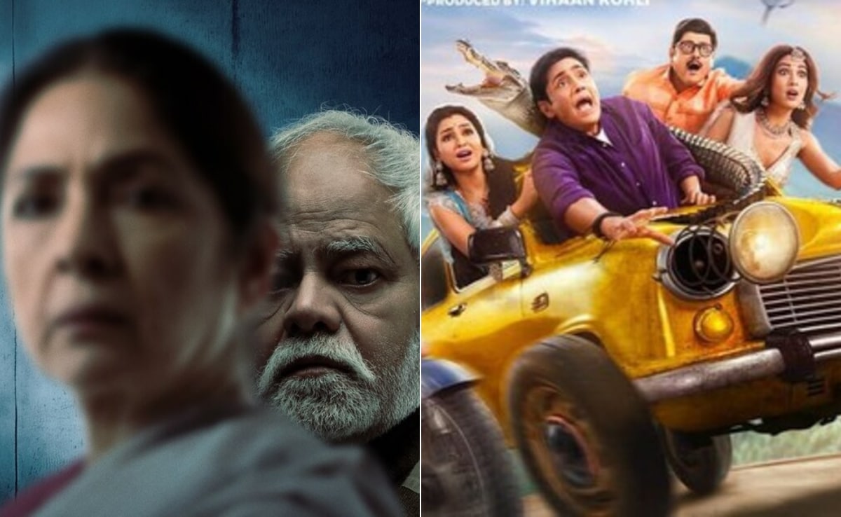 Border 2 के आगे वध 2 और भाबीजी घर पर है ने लगाया एड़ी चोटी का जोर, पहले दिन की इतनी ओपनिंग