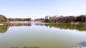 Citizens Save a Dying Lake: Inside Bengaluru's Benniganahalli Revival Story