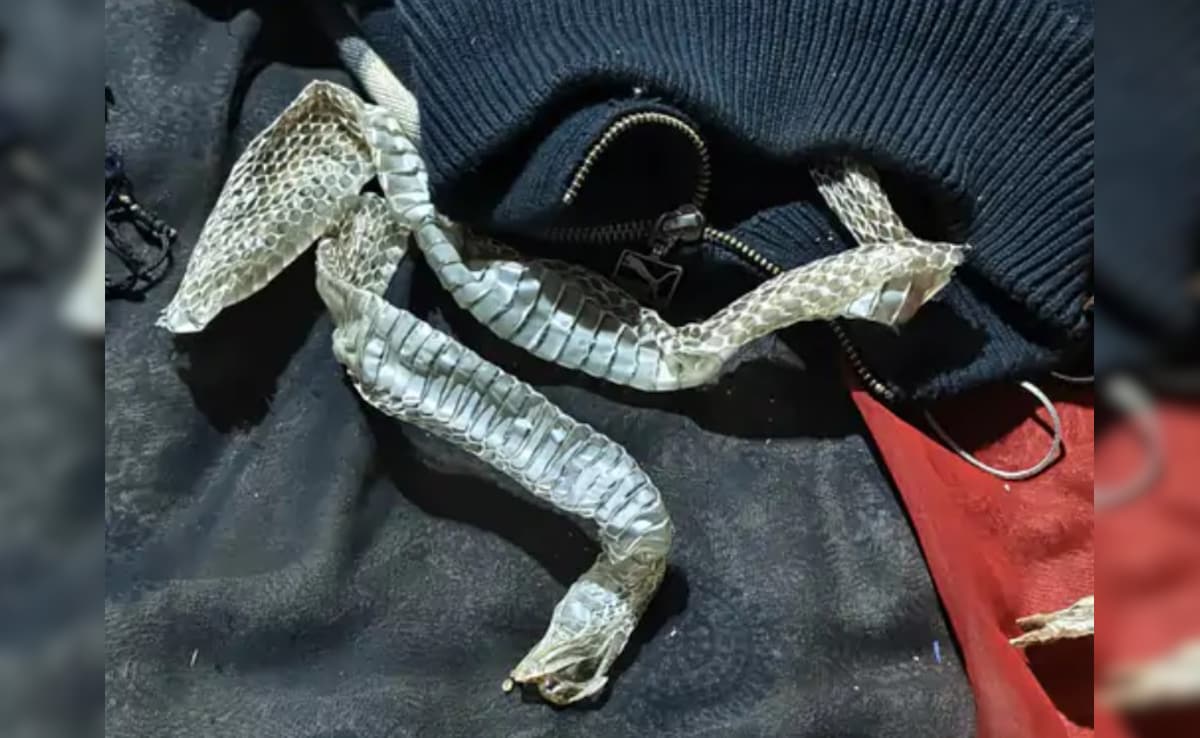 Latest and Breaking News on NDTV