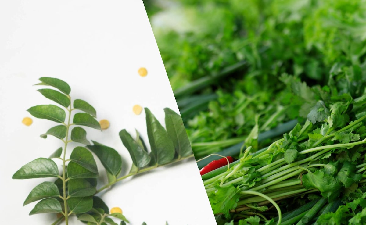 Curry Leaves Vs. Coriander Leaves: Which Herb Is Healthier?