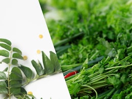 Curry Leaves Vs. Coriander Leaves: Which Herb Is Healthier?