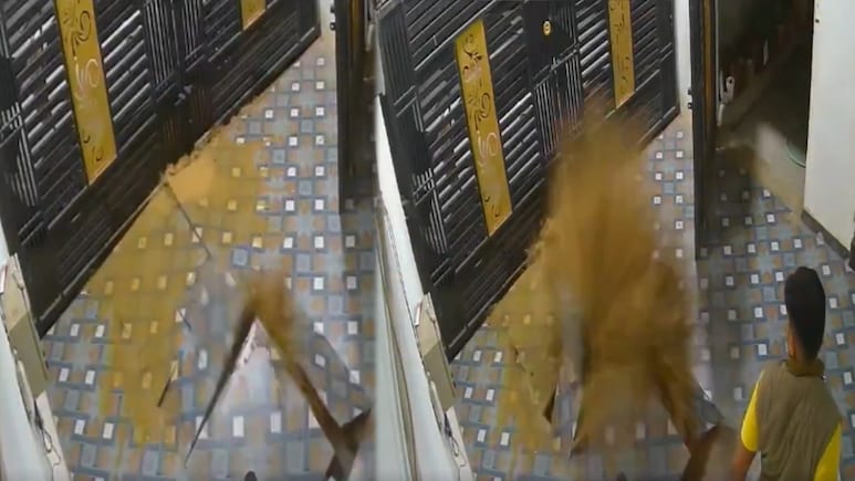 Watch: घर में टाइल फाड़कर निकला पानी का फव्वारा, रोंगटे खड़े कर देने वाला वीडियो वायरल