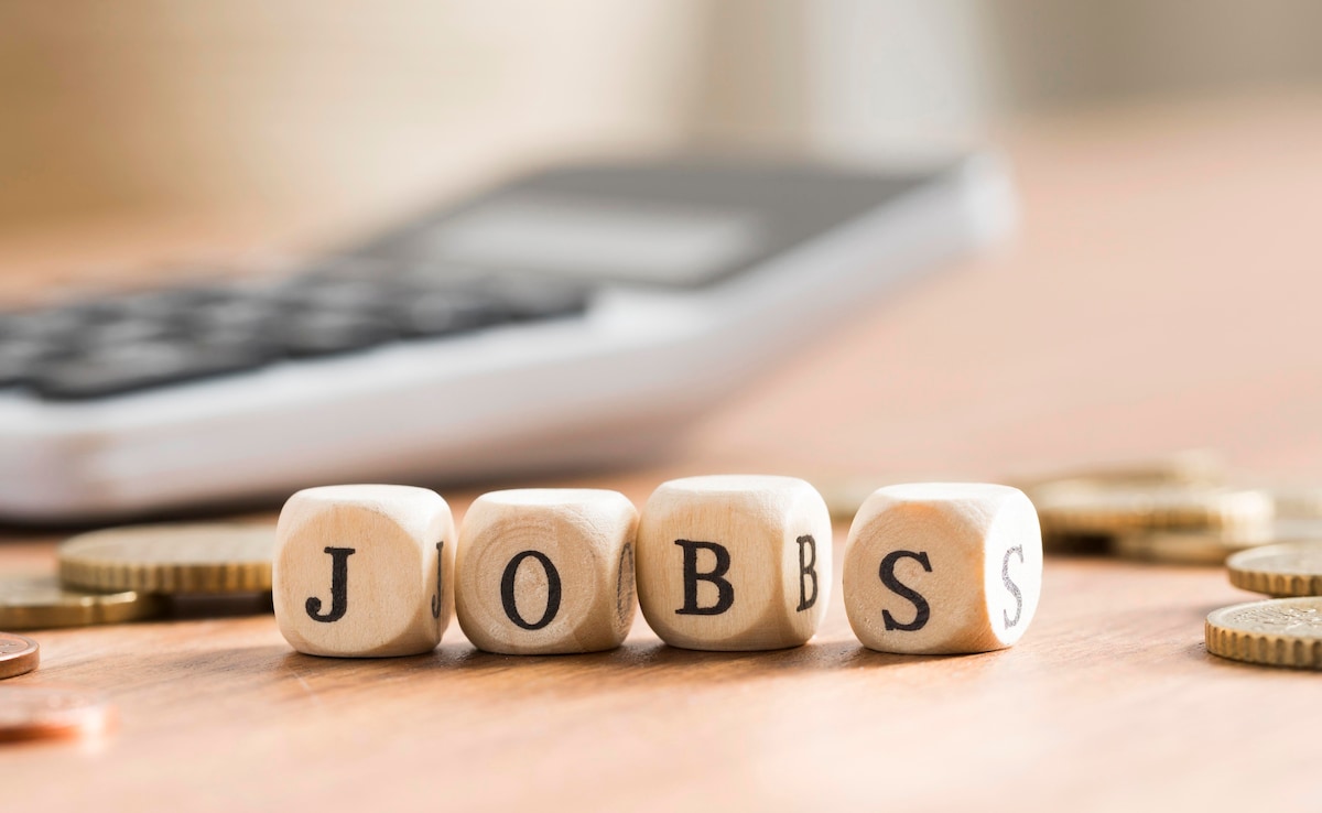 Stenographer And Clerk Job: इस जिला कोर्ट ने निकली स्टेनोग्राफर और क्लर्क की भर्ती, 48 पदों पर मांगे आवेदन