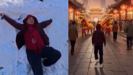 Singapore High Commissioner Shares AI Video For Lunar New Year, Sends Best Wishes To India For AI Summit