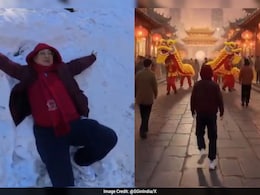 Singapore High Commissioner Shares AI Video For Lunar New Year, Sends Best Wishes To India For AI Summit