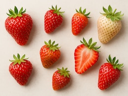 7 Strawberry Types You Need To Know About And Try