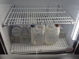 एमपी के इस जिले में पानी में मिला खतरनाक बैक्टीरिया! प्रशासन ने तुरंत रोकी सप्लाई, फ्री की जांच