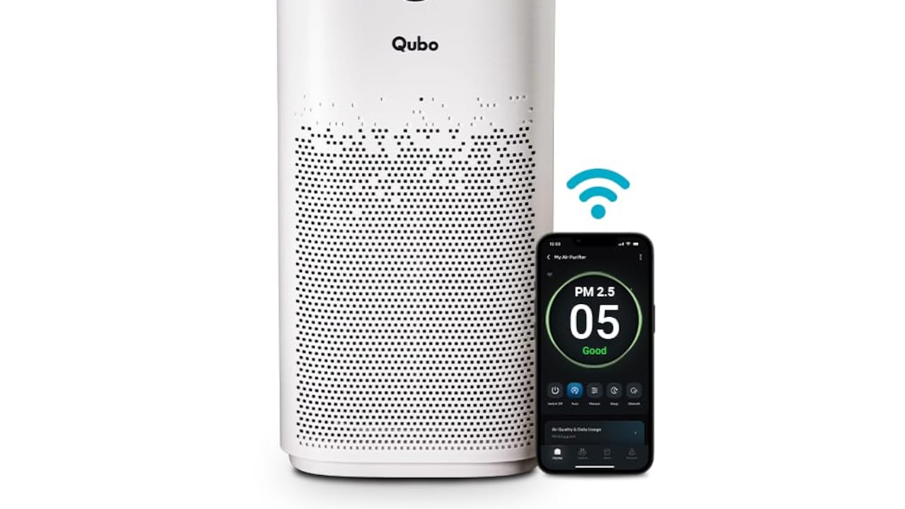 Do You Need a HEPA Filter? The Truth About Cleaner Air and Healthier Living Spaces Do You Need a HEPA Filter? The Truth About Cleaner Air and Healthier Living Spaces