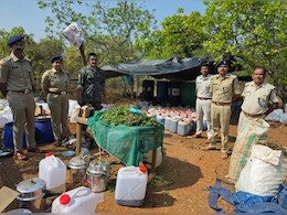 कोरापुट में बड़ी ड्रग्स कार्रवाई, 200 करोड़ का हशीश ऑयल, 2 टन से ज्यादा गांजा जब्त