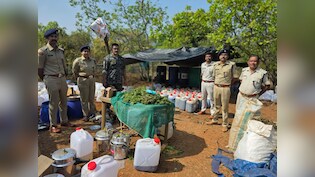 कोरापुट में बड़ी ड्रग्स कार्रवाई, 200 करोड़ का हशीश ऑयल, 2 टन से ज्यादा गांजा जब्त