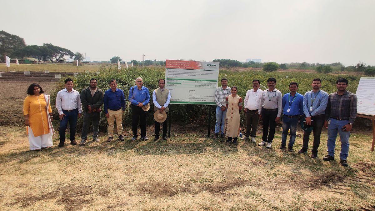 India's Quiet 'Pulses Revolution' To Serve 100% Homegrown Dal