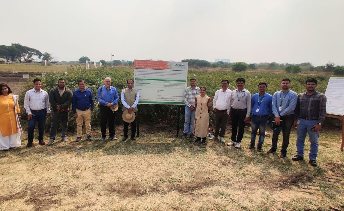 The Art of Baking: From Classic Bread to Artisan Pastries