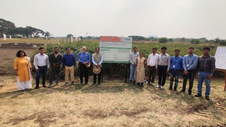 India's Quiet 'Pulses Revolution' To Serve 100% Homegrown Dal