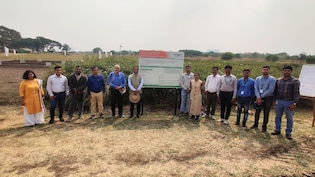 भारत की साइलेंट दाल क्रांति ने पकड़ी रफ़्तार, अब पूरी तरह देसी होगी आपकी दाल