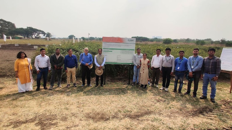 भारत की साइलेंट दाल क्रांति ने पकड़ी रफ़्तार, अब पूरी तरह देसी होगी आपकी दाल