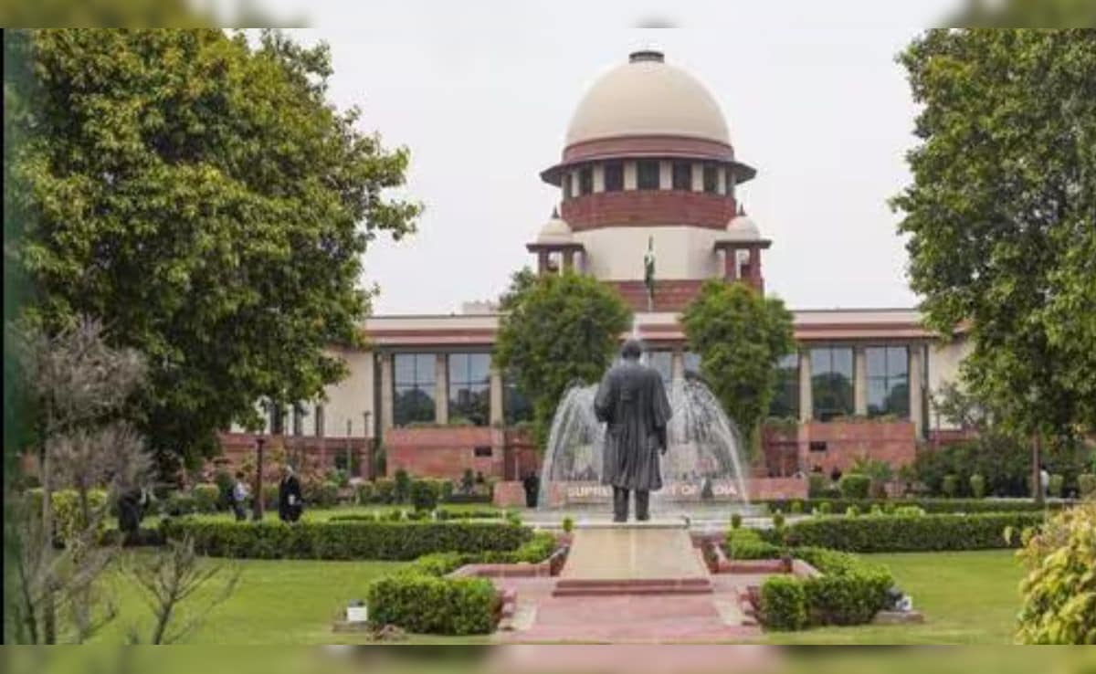 The Art of Baking: From Classic Bread to Artisan Pastries