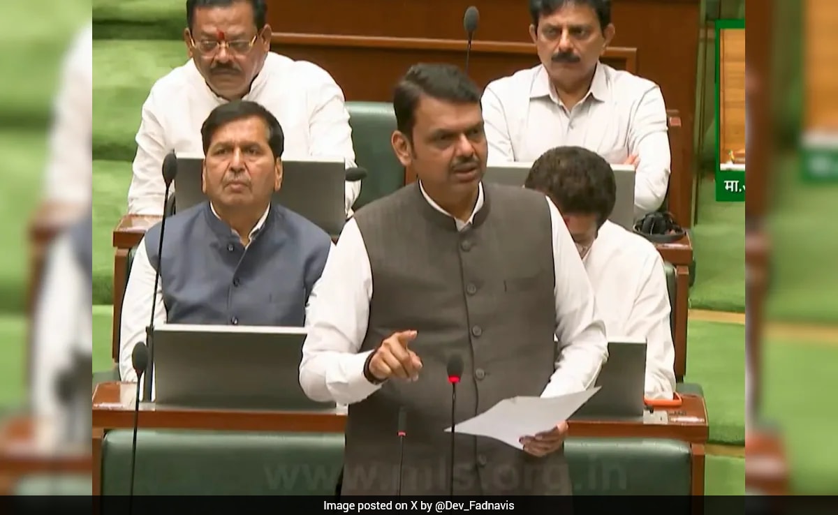 The Art of Baking: From Classic Bread to Artisan Pastries