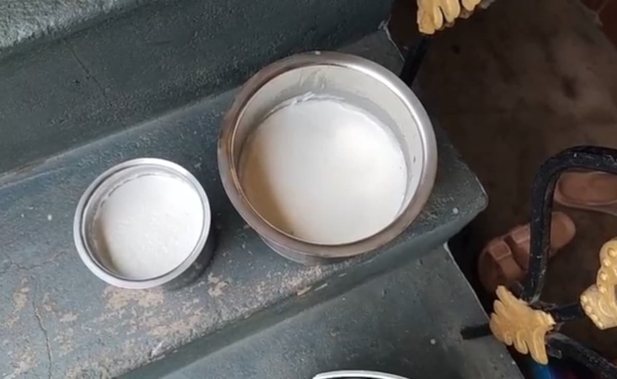 The Art of Baking: From Classic Bread to Artisan Pastries