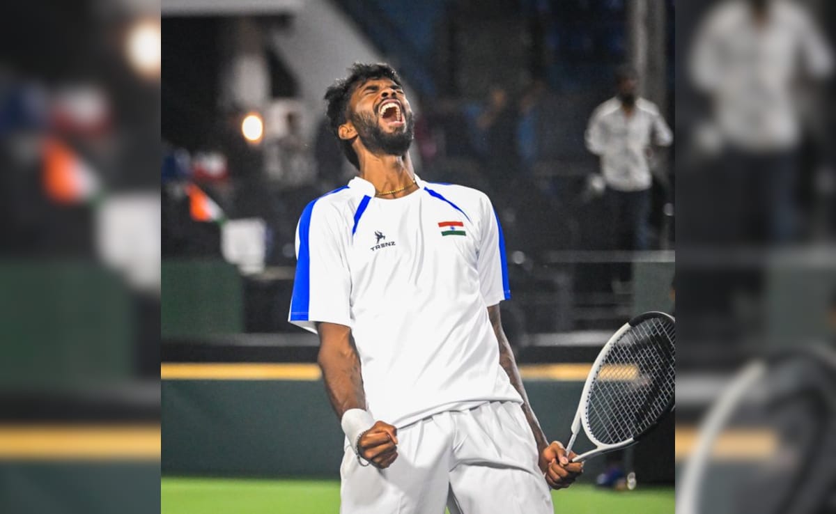 "Played Some Different Tennis": Indias Dhakshineswar Suresh On Davis Cup Heroics