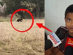 ओडिशा: मौत के जबड़े से लौट आया 13 वर्षीय प्रभात, 4 मिनट तक भालुओं से लड़ी 'जिंदगी की जंग'