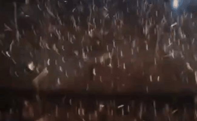 Rajasthan Weather: राजस्थान में पश्चिमी विक्षोभ ने बिगाड़ा खेल, कहीं गिरे ओले तो कहीं बारिश ने भिगोया, 5 जिलों में येलो अलर्ट