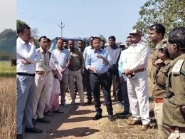 सीधी के बाद मऊगंज में हाथियों की दस्तक: ग्रामीणों को सता रही चिंता, अलर्ट मोड में वन विभाग के साथ प्रशासन