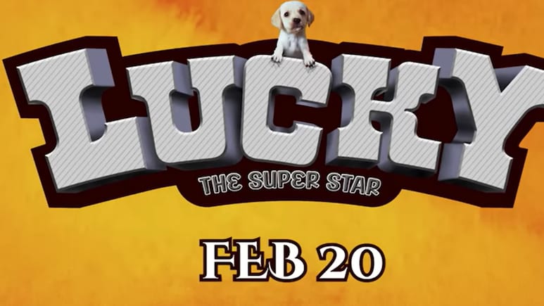 Malayalam, Tamil & Telugu OTT Releases This Week: Amoz Alexander, Chatha Pacha, Lucky The Superstar And More