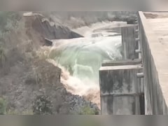 Bargi Dam Jabalpur: बरगी नहर टूटने से खेतों में भरा पानी, फसलों को भारी नुकसान