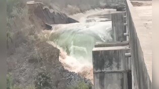 Bargi Dam Jabalpur: बरगी नहर टूटने से खेतों में भरा पानी, फसलों को भारी नुकसान