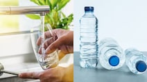 Why Tap Water Is Better Than Bottled Water, Harvard Doctor Explains