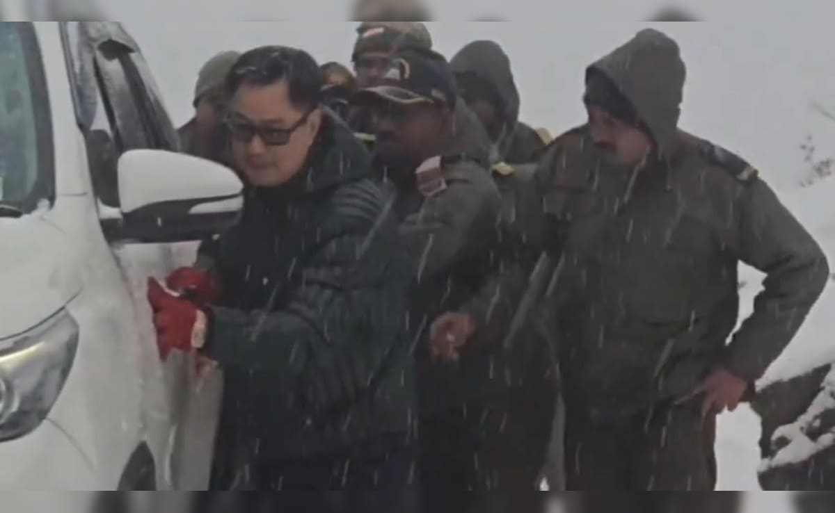 The Art of Baking: From Classic Bread to Artisan Pastries