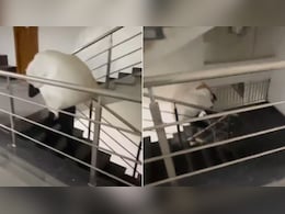 इंसानियत शर्मसार! सोसायटी ने नहीं यूज करने दी लिफ्ट, 6वीं मंजिल तक कमर पर बोझ ढोकर पहुंचा मजदूर, Video Viral