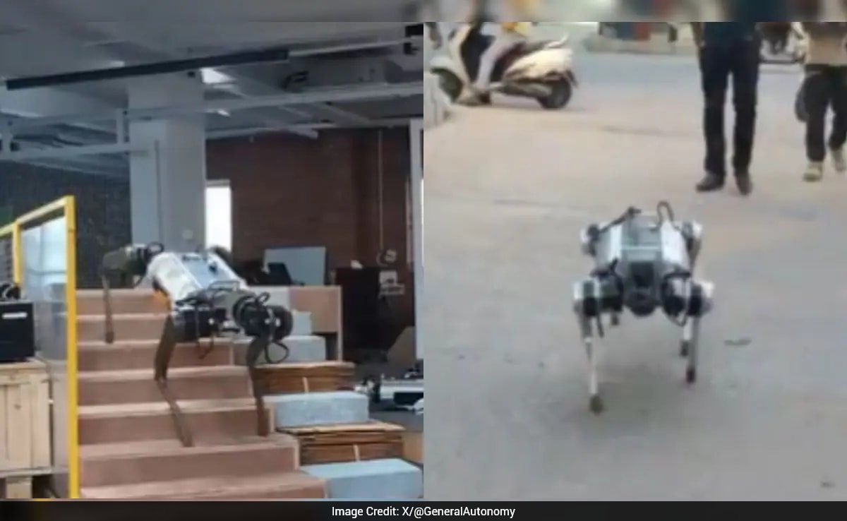 The Art of Baking: From Classic Bread to Artisan Pastries