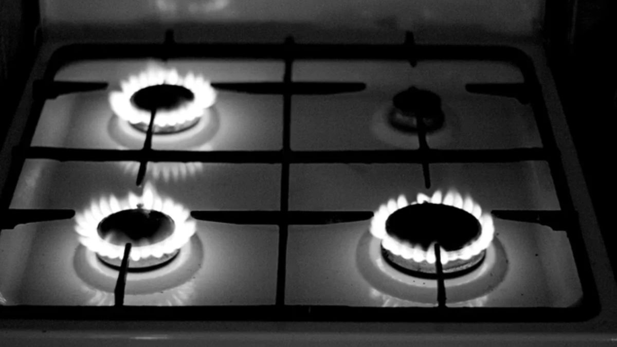 What Is Four Burner Theory, The Viral Concept That Reveals Why Careers Cost Marriages