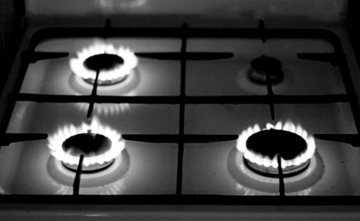 Four Burner Theory: The Viral Concept That Reveals Why Careers Cost Marriages