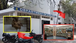 डॉ.बाबासाहेब आंबेडकर मराठवाडा विद्यापीठात भयंकर प्रकार, आंबेडकरी संघटना आक्रमक, काय घडलंय?
