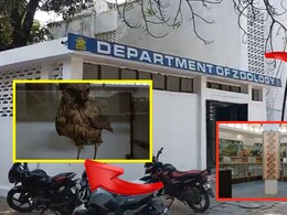 डॉ.बाबासाहेब आंबेडकर मराठवाडा विद्यापीठात भयंकर प्रकार, आंबेडकरी संघटना आक्रमक, काय घडलंय?