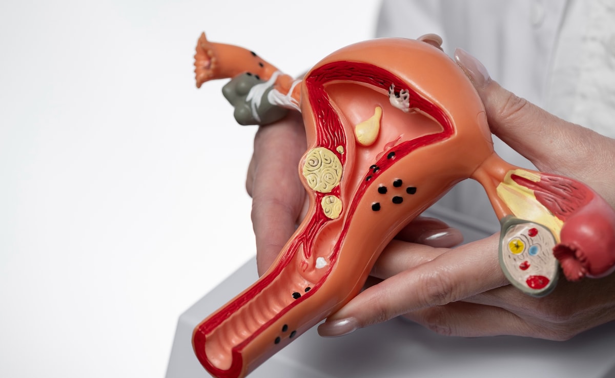 What Is An At-Home Cervical Cancer Screening Test? Are They Easy To Use And Reliable?