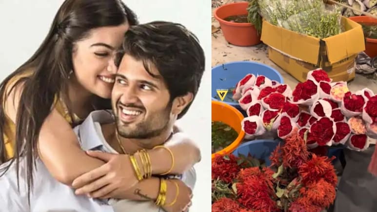 कच्चे केले, लाल गुलाब, मोतिया के सफेद फूल और नीला टब- रश्मिका-विजय की शादी में मोहब्बत की खुशबू और जिंदगी के रंग