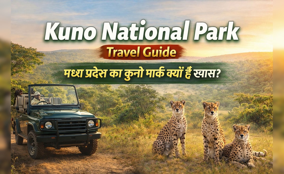 कुनो नेशनल पार्क में आए नए चीते! जानें घूमने का बेस्ट टाइम और पूरा ट्रैवल प्लान