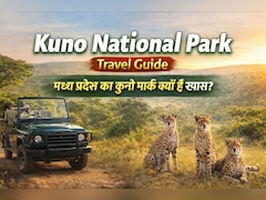 कुनो नेशनल पार्क में आए नए चीते! जानें घूमने का बेस्ट टाइम और पूरा ट्रैवल प्लान